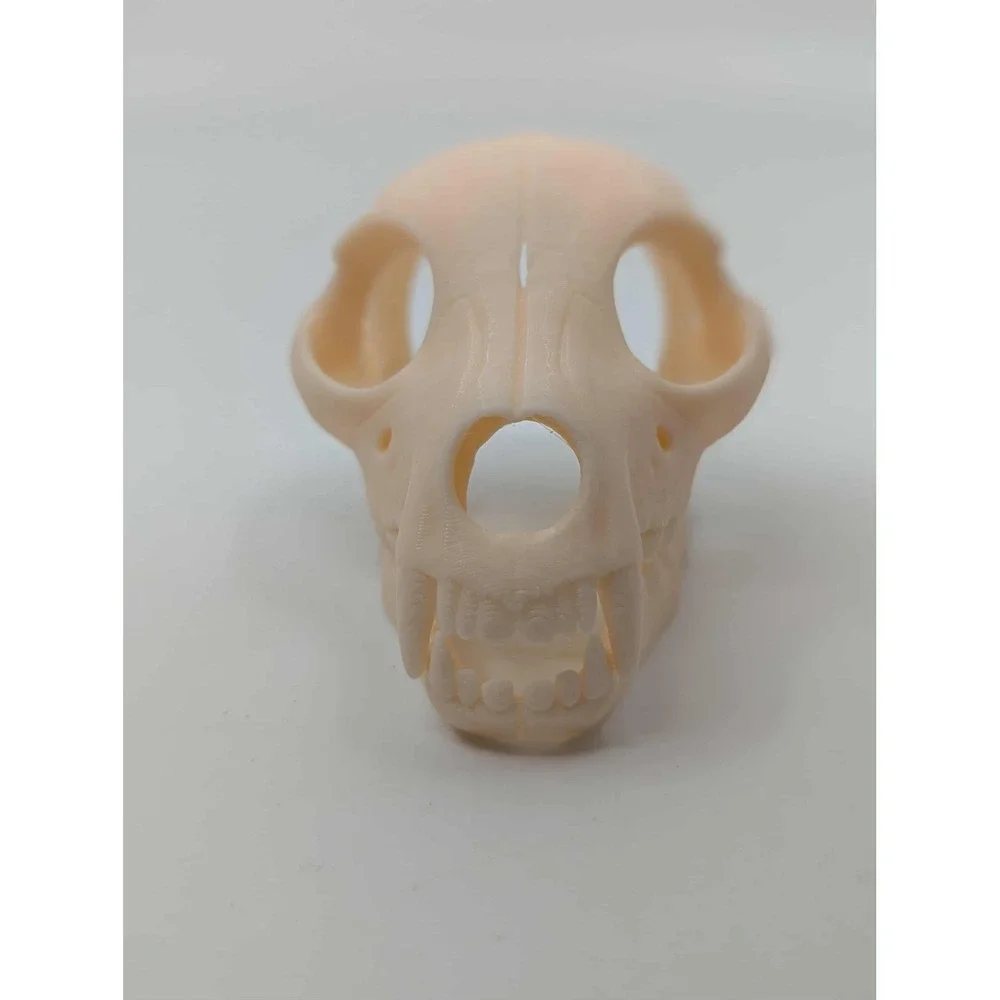 Dog Skull Hide, Reptile enrichment,‎ Tank Decor